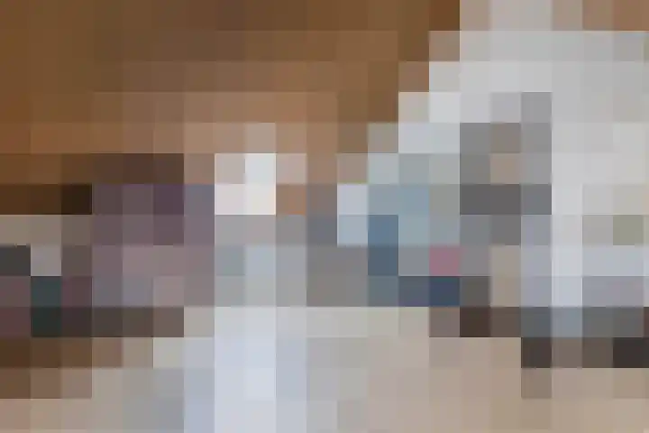 Fockema Andreaelaan 18 Beetsterzwaag thumbnail 30