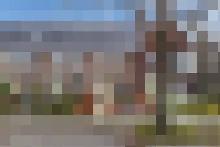 Fockema Andreaelaan 18 Beetsterzwaag thumbnail 32