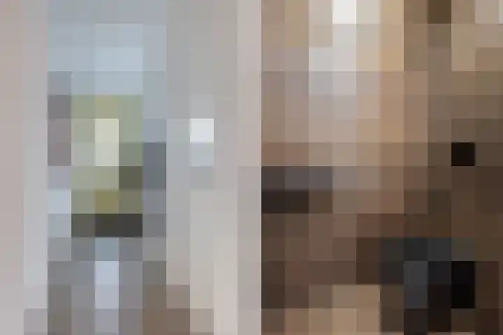 Fockema Andreaelaan 18 Beetsterzwaag thumbnail 6