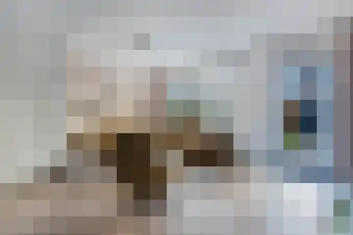 Fockema Andreaelaan 18 Beetsterzwaag thumbnail 8