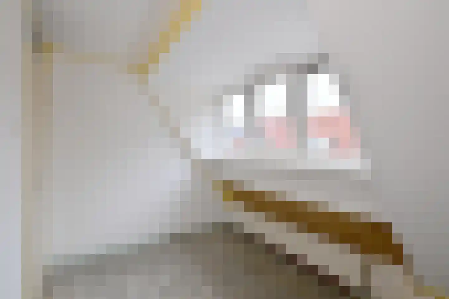 Fockinckstraat 1 Deventer thumbnail 27