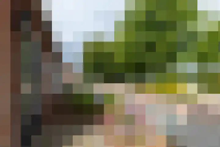 Foeke Sjoerdsstrjitte 1 Easternijtsjerk thumbnail 11
