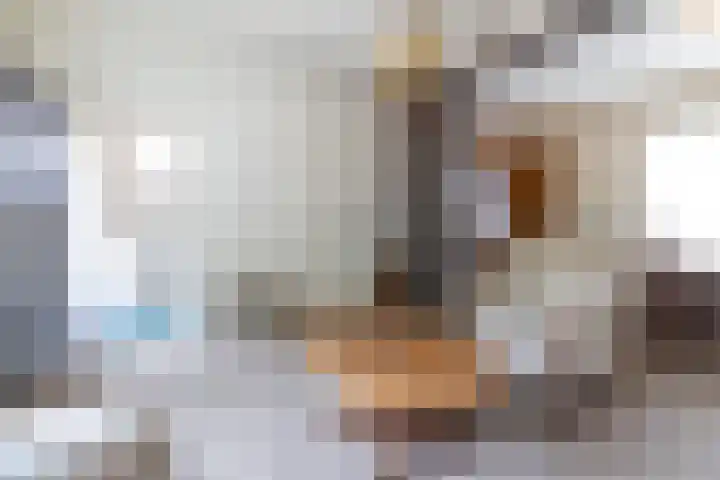 Foeke Sjoerdsstrjitte 1 Easternijtsjerk thumbnail 14