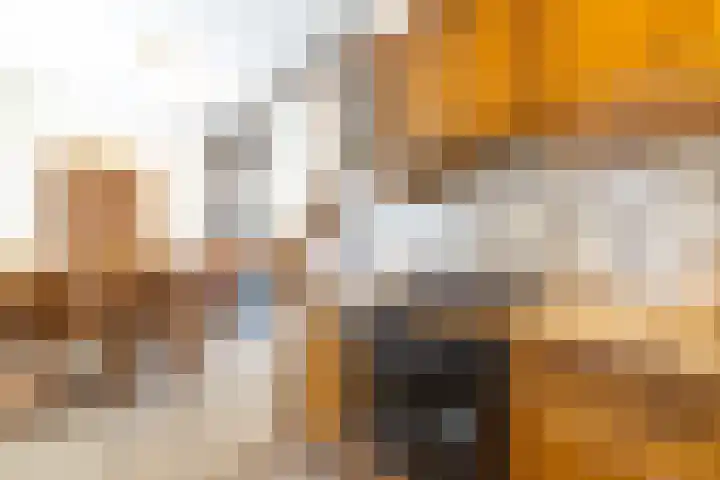 Foeke Sjoerdsstrjitte 1 Easternijtsjerk thumbnail 22