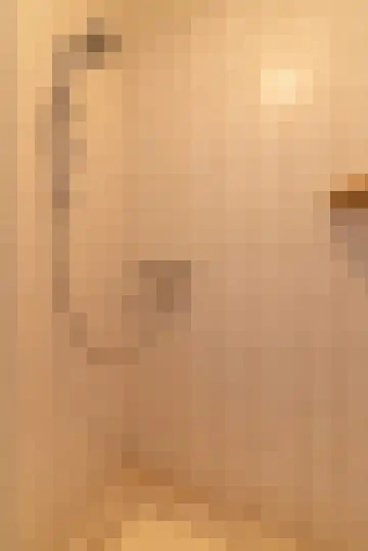 Foeke Sjoerdsstrjitte 1 Easternijtsjerk thumbnail 29