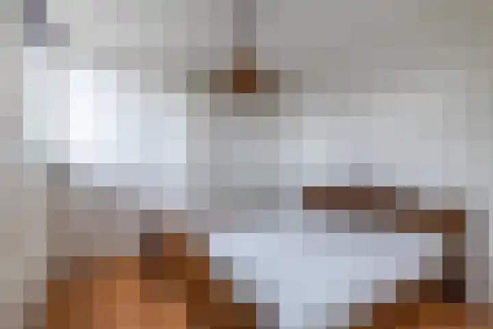 Foeke Sjoerdsstrjitte 1 Easternijtsjerk thumbnail 34