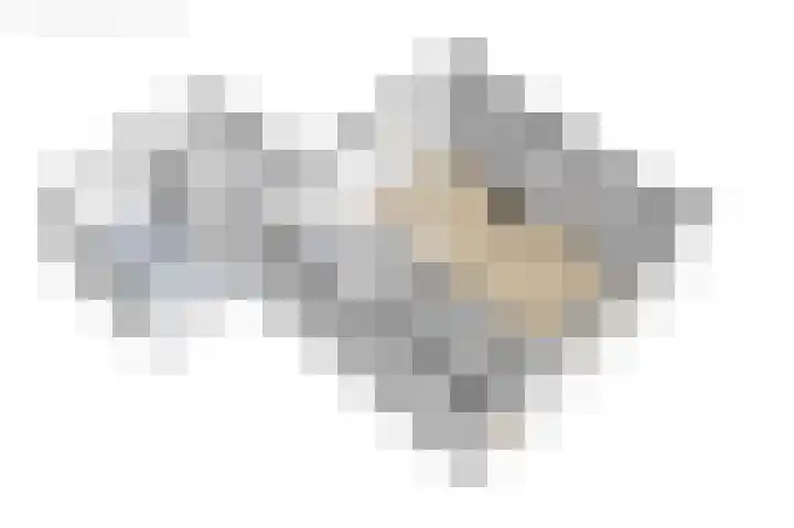Foeke Sjoerdsstrjitte 1 Easternijtsjerk thumbnail 43