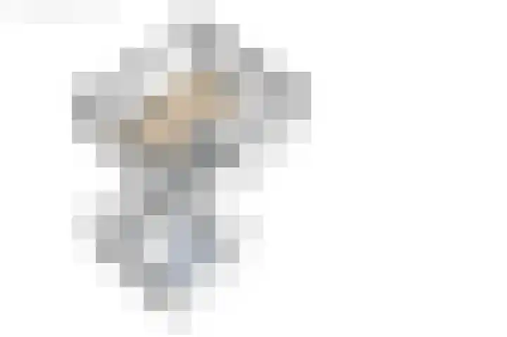 Foeke Sjoerdsstrjitte 1 Easternijtsjerk thumbnail 46