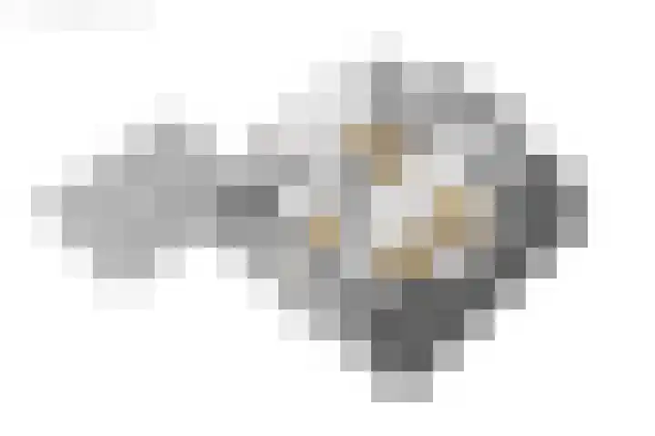 Foeke Sjoerdsstrjitte 1 Easternijtsjerk thumbnail 50