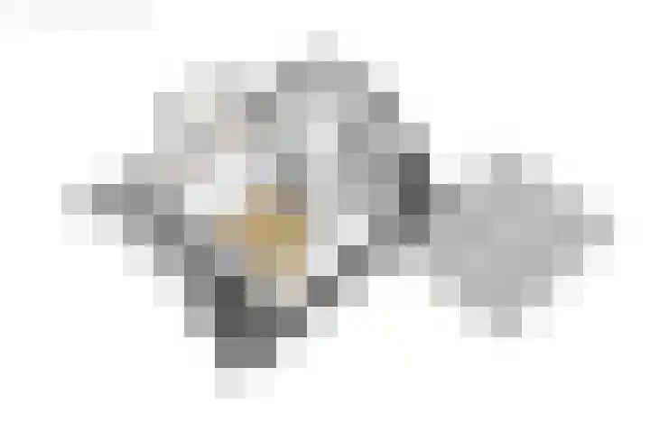 Foeke Sjoerdsstrjitte 1 Easternijtsjerk thumbnail 52