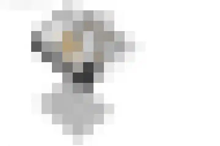Foeke Sjoerdsstrjitte 1 Easternijtsjerk thumbnail 53