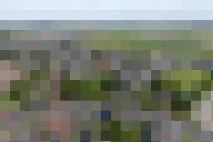 Foeke Sjoerdsstrjitte 1 Easternijtsjerk thumbnail 6