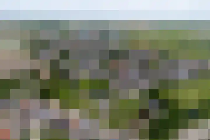 Foeke Sjoerdsstrjitte 1 Easternijtsjerk thumbnail 7