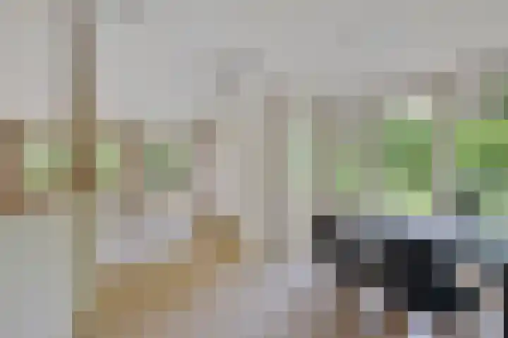 Foekenlaan 22 Soest thumbnail 11