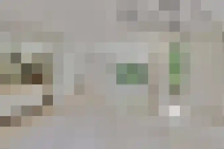 Foekenlaan 22 Soest thumbnail 13