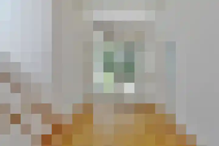 Foekenlaan 22 Soest thumbnail 17