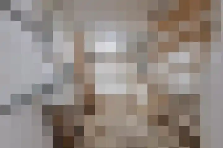 Foekenlaan 22 Soest thumbnail 36
