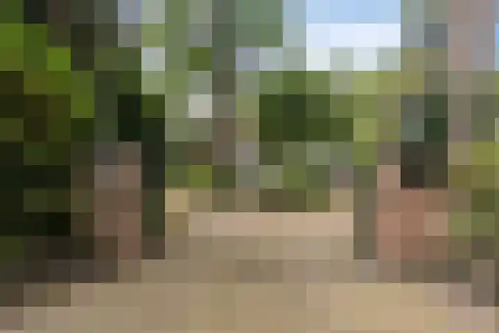 Foekenlaan 22 Soest thumbnail 4