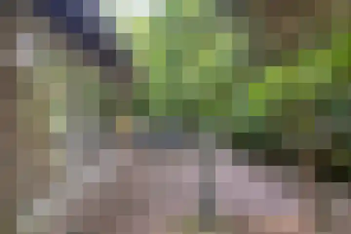Foekenlaan 22 Soest thumbnail 40