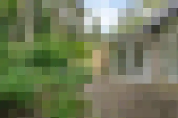 Foekenlaan 22 Soest thumbnail 41