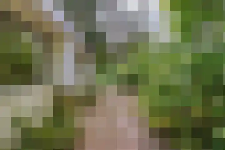 Foekenlaan 22 Soest thumbnail 42