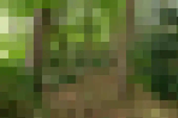 Foekenlaan 22 Soest thumbnail 43