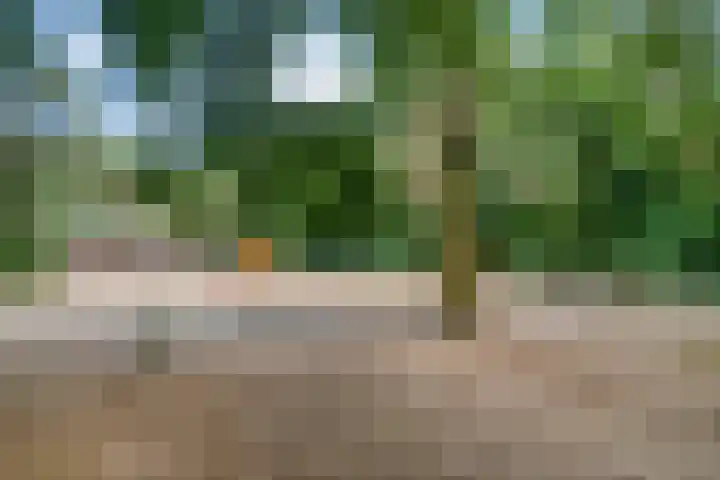 Foekenlaan 22 Soest thumbnail 46