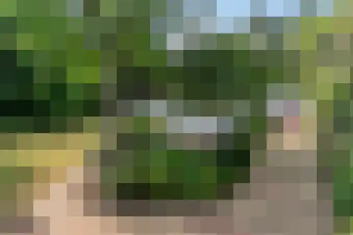 Foekenlaan 22 Soest thumbnail 5