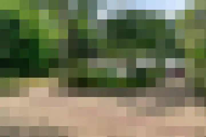 Foekenlaan 22 Soest thumbnail 6
