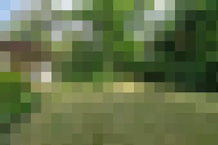 Foekenlaan 22 Soest thumbnail 7
