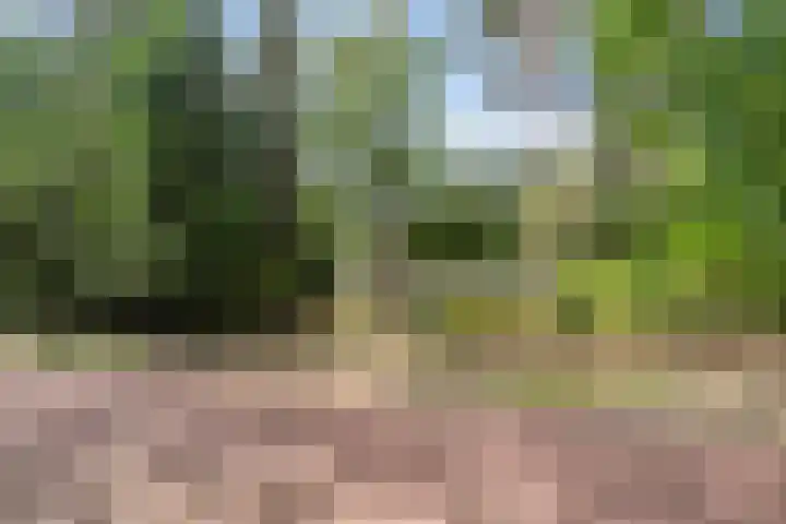 Foekenlaan 22 Soest thumbnail 8