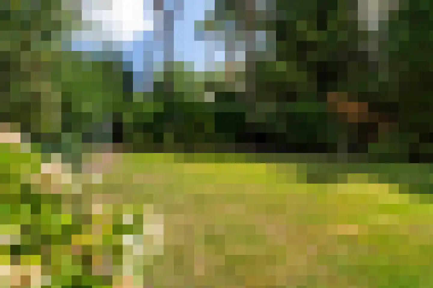 Foekenlaan 24 Soest thumbnail 25