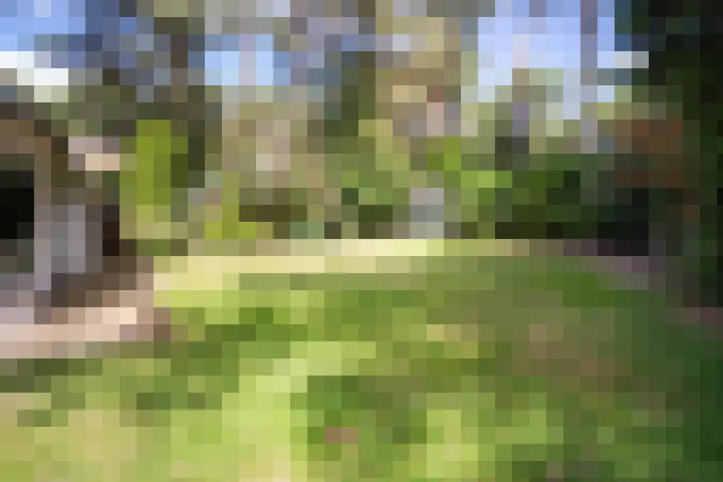 Foekenlaan 24 Soest thumbnail 26