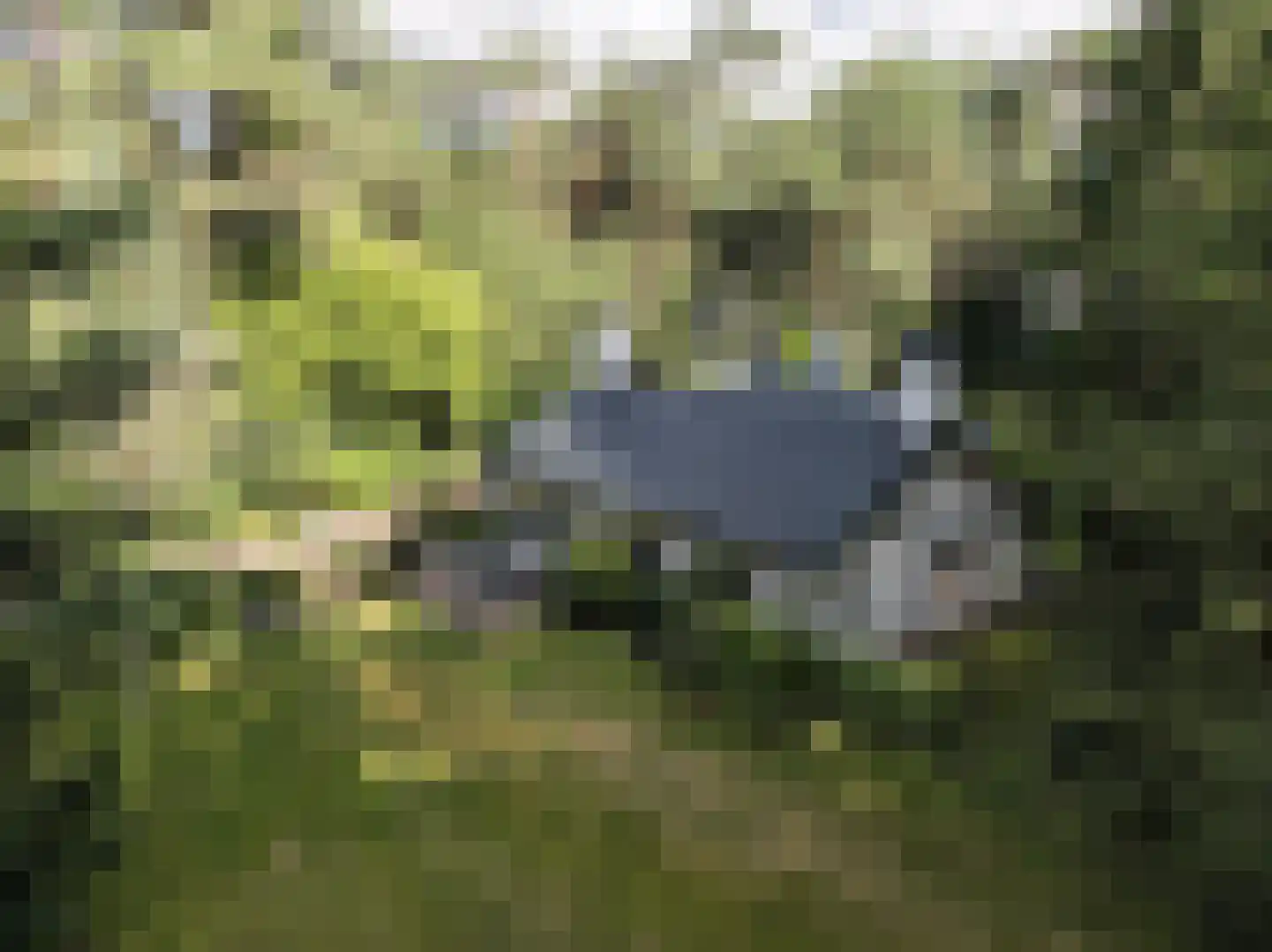 Foekenlaan 24 Soest thumbnail 27