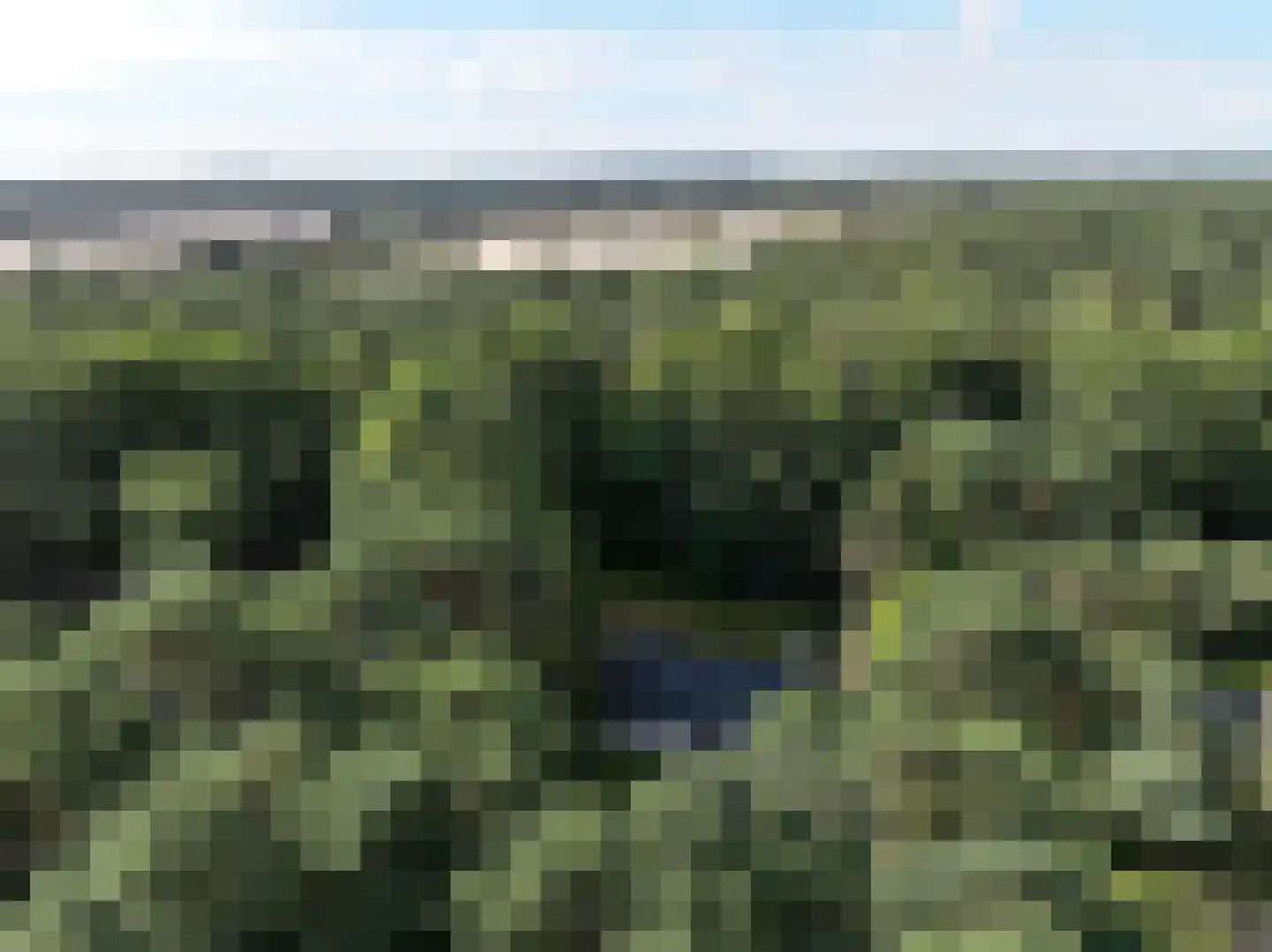 Foekenlaan 24 Soest thumbnail 4