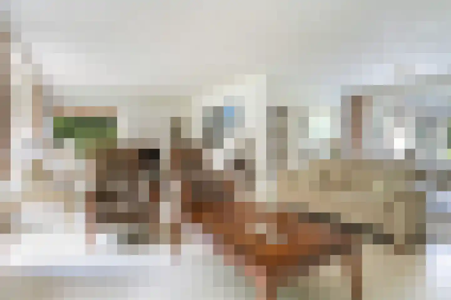 Foekenlaan 24 Soest thumbnail 5