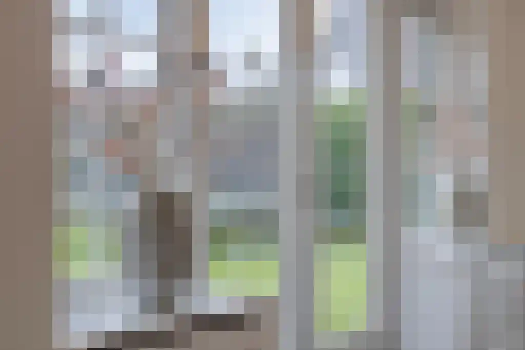 Foekjesteech 25 Langweer thumbnail 19