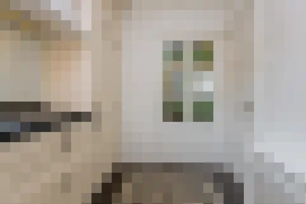 Foekjesteech 25 Langweer thumbnail 24