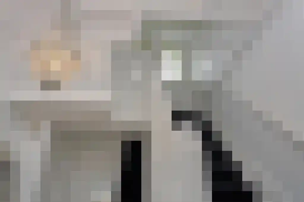 Foekjesteech 25 Langweer thumbnail 30