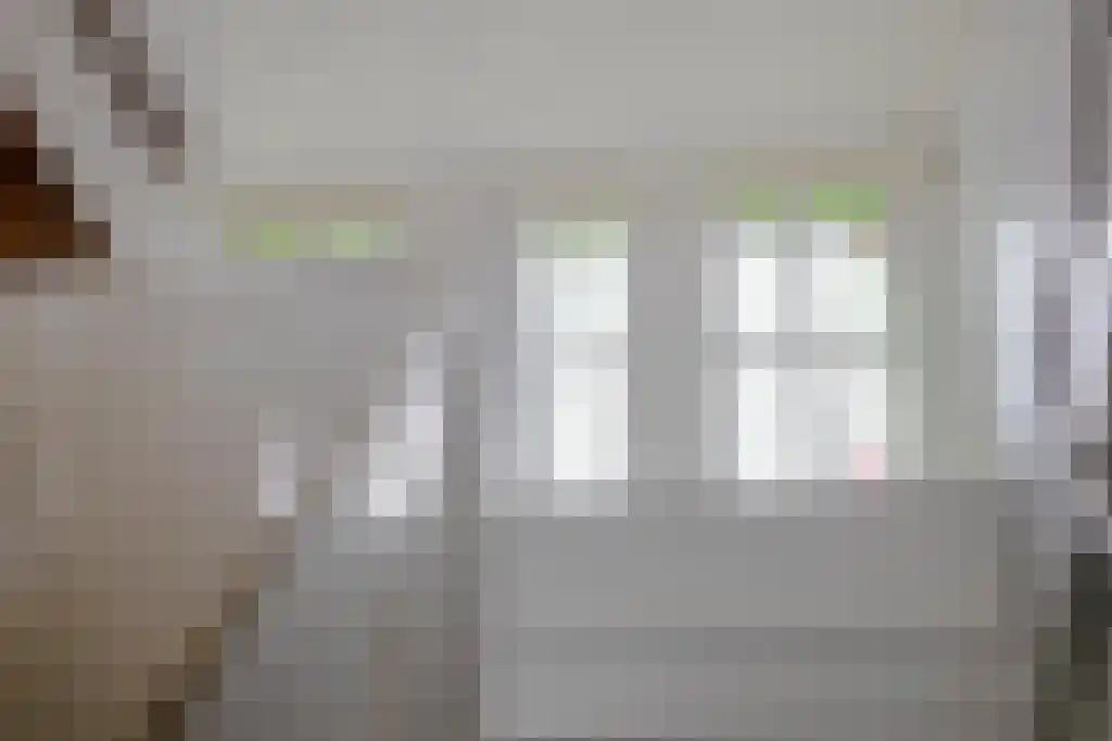 Foekjesteech 25 Langweer thumbnail 37