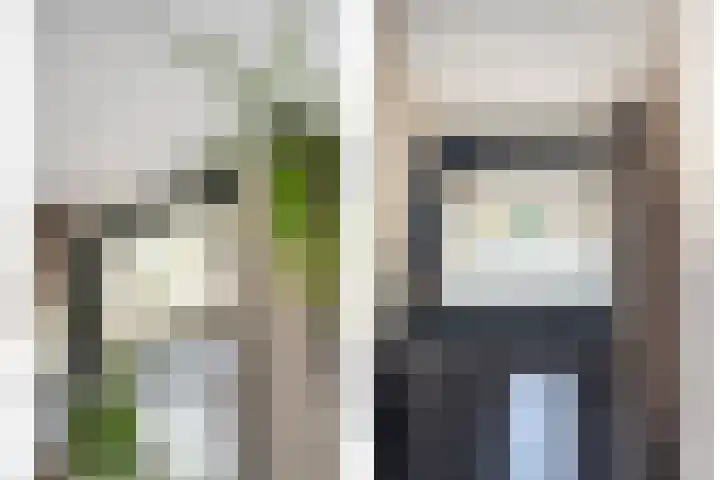 Foekjesteech 25 Langweer thumbnail 42