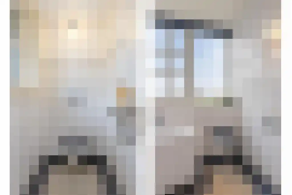 Foekjesteech 25 Langweer thumbnail 45