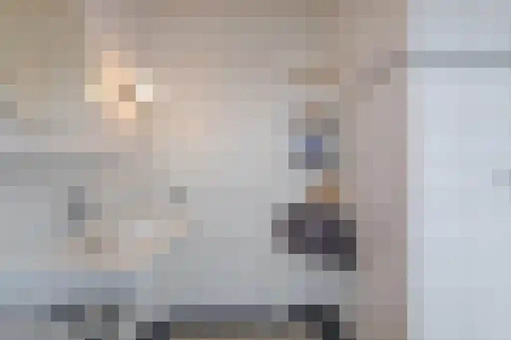 Foekjesteech 25 Langweer thumbnail 48