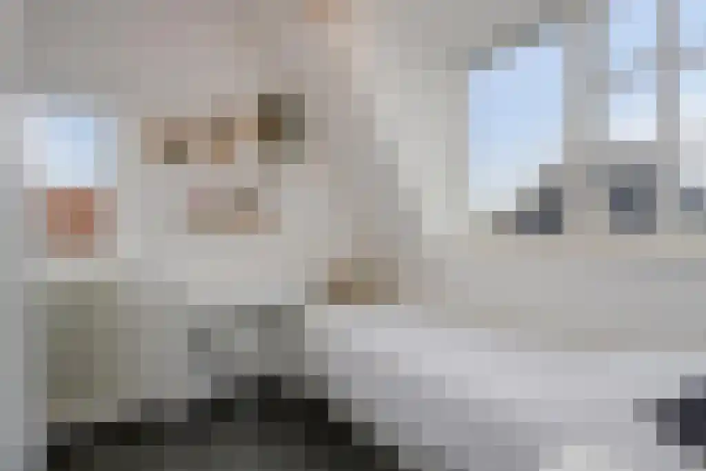 Foekjesteech 25 Langweer thumbnail 51