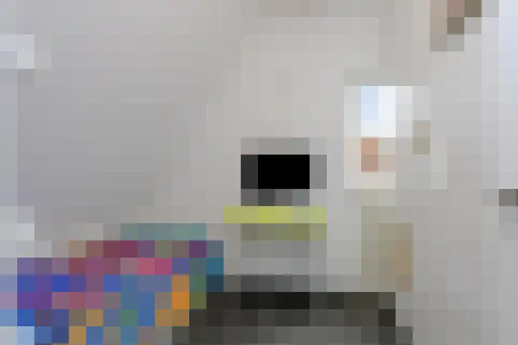 Foekjesteech 25 Langweer thumbnail 53