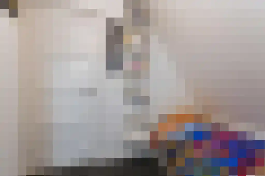Foekjesteech 25 Langweer thumbnail 54