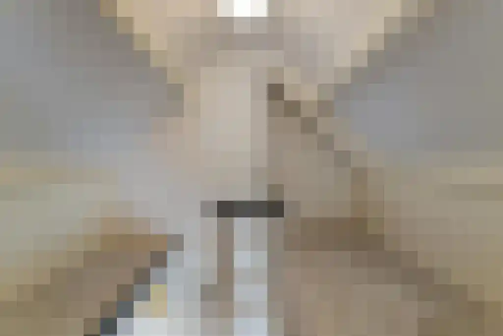 Foekjesteech 25 Langweer thumbnail 61