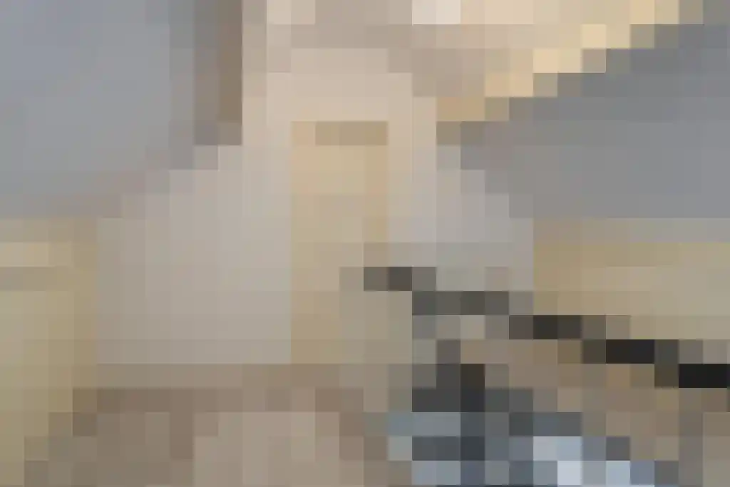 Foekjesteech 25 Langweer thumbnail 62