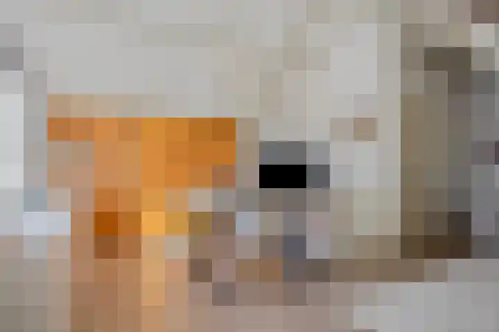 Foekjesteech 25 Langweer thumbnail 70