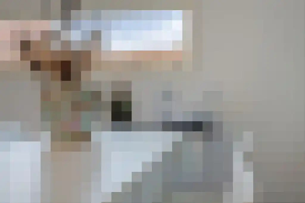 Foekjesteech 25 Langweer thumbnail 71